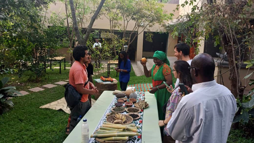 intro to Zambia at Zeela