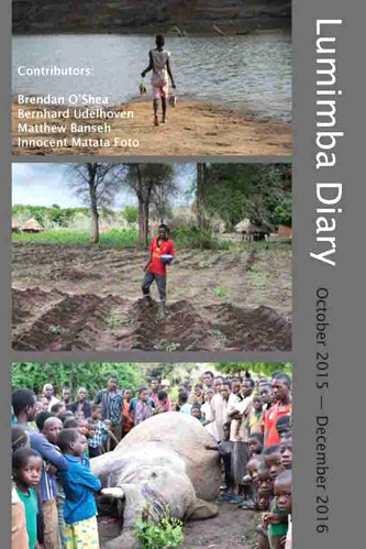 book cover Lumimba Diary 2015-2016